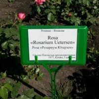 Таблички садовые - Питомник декоративных растений "Парковые Розы" 